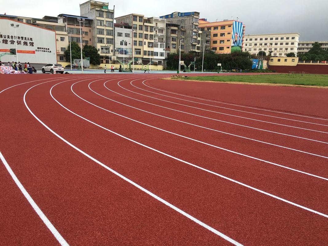 青岛市EPDM颗粒塑胶跑道材料 - 厂家